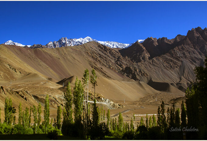 A moment in sunshine. Ladakh