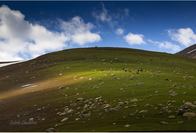 Creatures. Peer Ki Gali