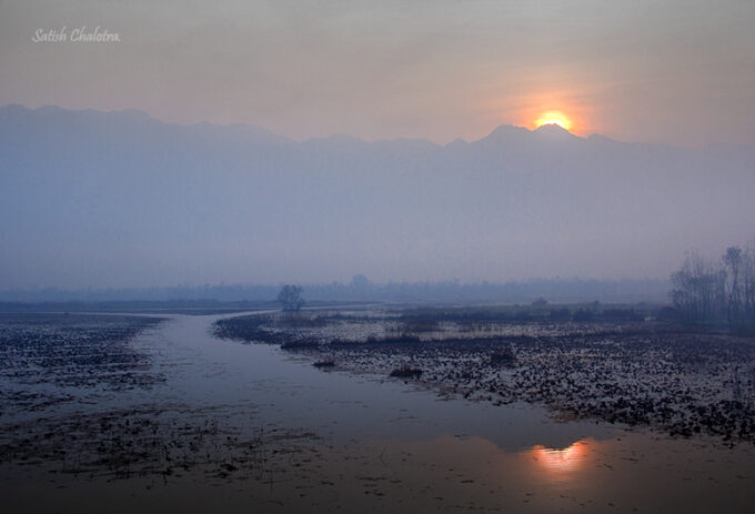 Morning light in Dal.