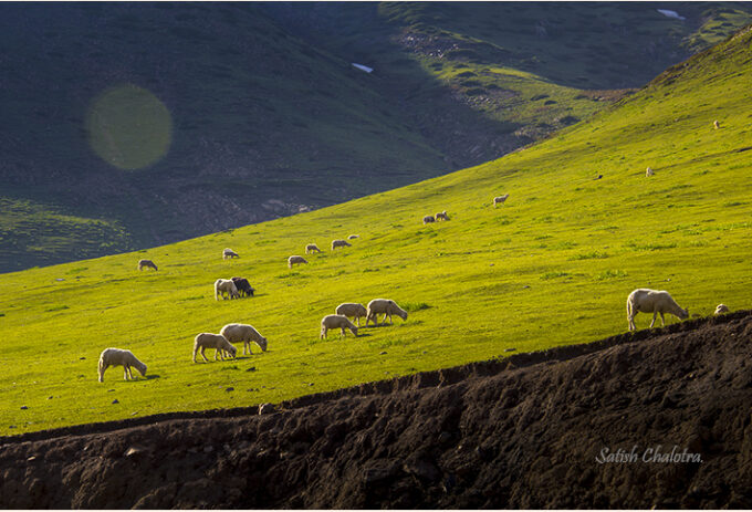 Pasture land. Peer Ki Gali