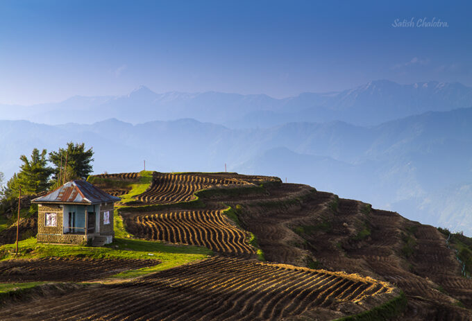 Potatoes farm. Natha Top