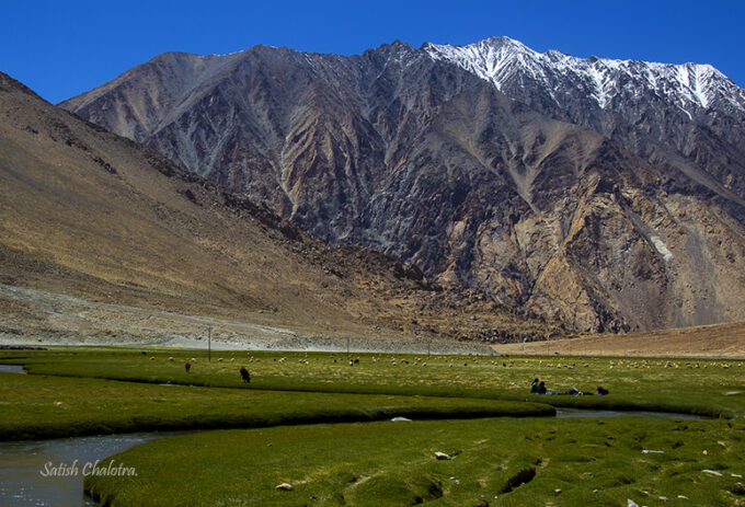 Splendid beauty of nature, Ladakh