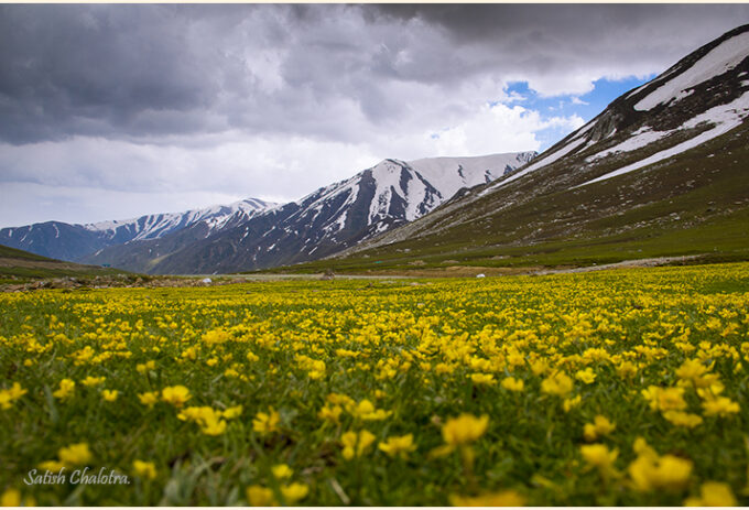 Valley of flowers.Peer Ki Gali