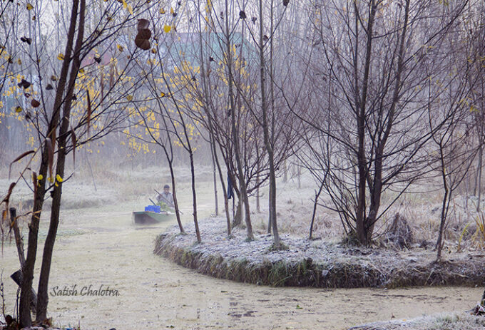 Winter morning .Srinagar